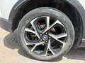 Toyota C-HR+ 1.8 125H Advance Blanco - thumbnail 16