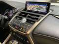 Lexus NX 300 300h Executive Navigation 4WD Burdeos - thumbnail 41