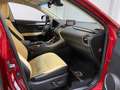 Lexus NX 300 300h Executive Navigation 4WD Fialová - thumbnail 12