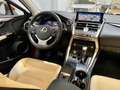 Lexus NX 300 300h Executive Navigation 4WD Burdeos - thumbnail 28