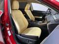 Lexus NX 300 300h Executive Navigation 4WD Fialová - thumbnail 10