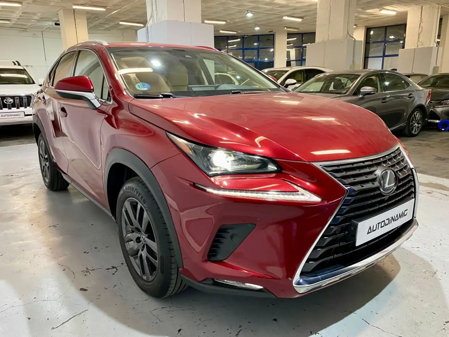 Lexus NX 300 300h Executive Navigation 4WD Fioletowy - 2