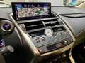 Lexus NX 300 300h Executive Navigation 4WD Fialová - thumbnail 15