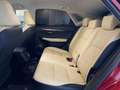 Lexus NX 300 300h Executive Navigation 4WD Burdeos - thumbnail 30