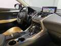 Lexus NX 300 300h Executive Navigation 4WD Burdeos - thumbnail 43