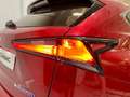 Lexus NX 300 300h Executive Navigation 4WD Burdeos - thumbnail 48