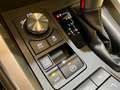 Lexus NX 300 300h Executive Navigation 4WD Burdeos - thumbnail 16