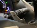 Lexus NX 300 300h Executive Navigation 4WD Fialová - thumbnail 14