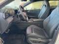 Volkswagen Passat Variant R-Line 2,0 TDI DSG*Nav*AHK*Kam*Ma Blanc - thumbnail 12