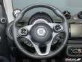 smart forTwo ForTwo Cabriolet EQ Passion LED/22 kW/JBL/Kamera Gris - thumbnail 15