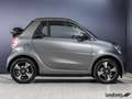 smart forTwo ForTwo Cabriolet EQ Passion LED/22 kW/JBL/Kamera Gris - thumbnail 4