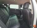 SEAT Leon ST 1.5 TGI S&S Style DSG-7 130 Blanc - thumbnail 12