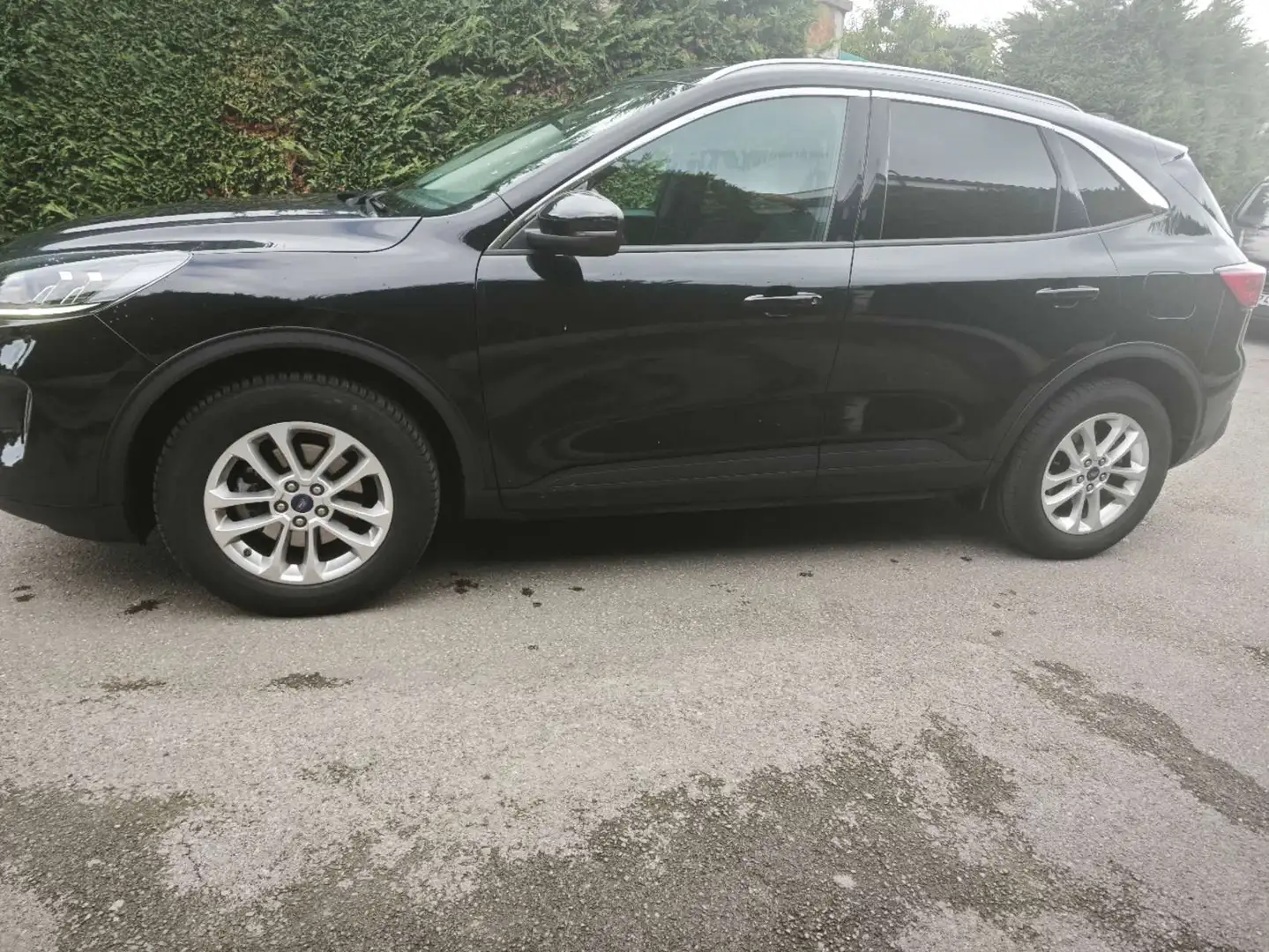 Ford Kuga Kuga 2.0 EcoBlue MEHV Titanium FWD 150 Titanium Negro - 2