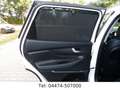Hyundai SANTA FE Premium 4WD Kamera DAB+ Head-up Weiß - thumbnail 16