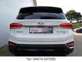 Hyundai SANTA FE Premium 4WD Kamera DAB+ Head-up Weiß - thumbnail 9