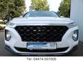 Hyundai SANTA FE Premium 4WD Kamera DAB+ Head-up Weiß - thumbnail 20