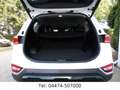 Hyundai SANTA FE Premium 4WD Kamera DAB+ Head-up Weiß - thumbnail 10