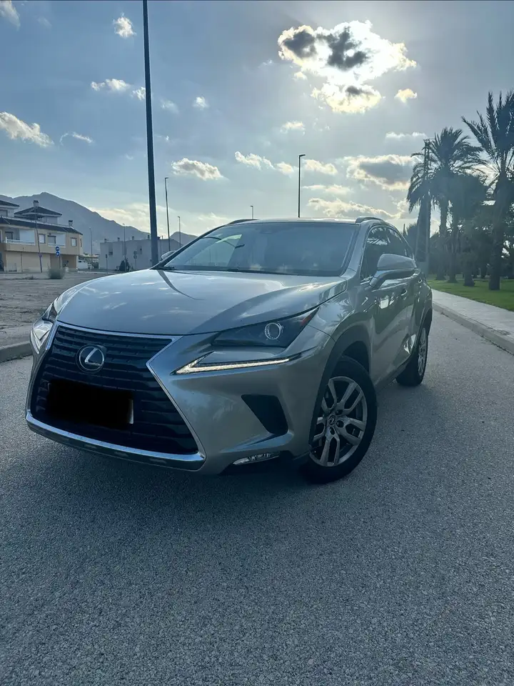 Lexus NX 300h