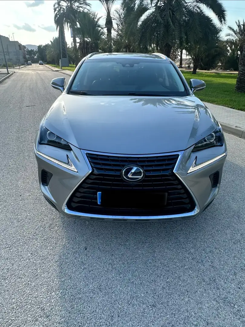 Lexus NX 300h Executive Kick Power+ Navigation 4WD - 2