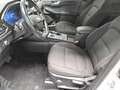 Ford Kuga 2.5 Hybrid ST-Line Navi Pano AHK RFK LED Blanc - thumbnail 9