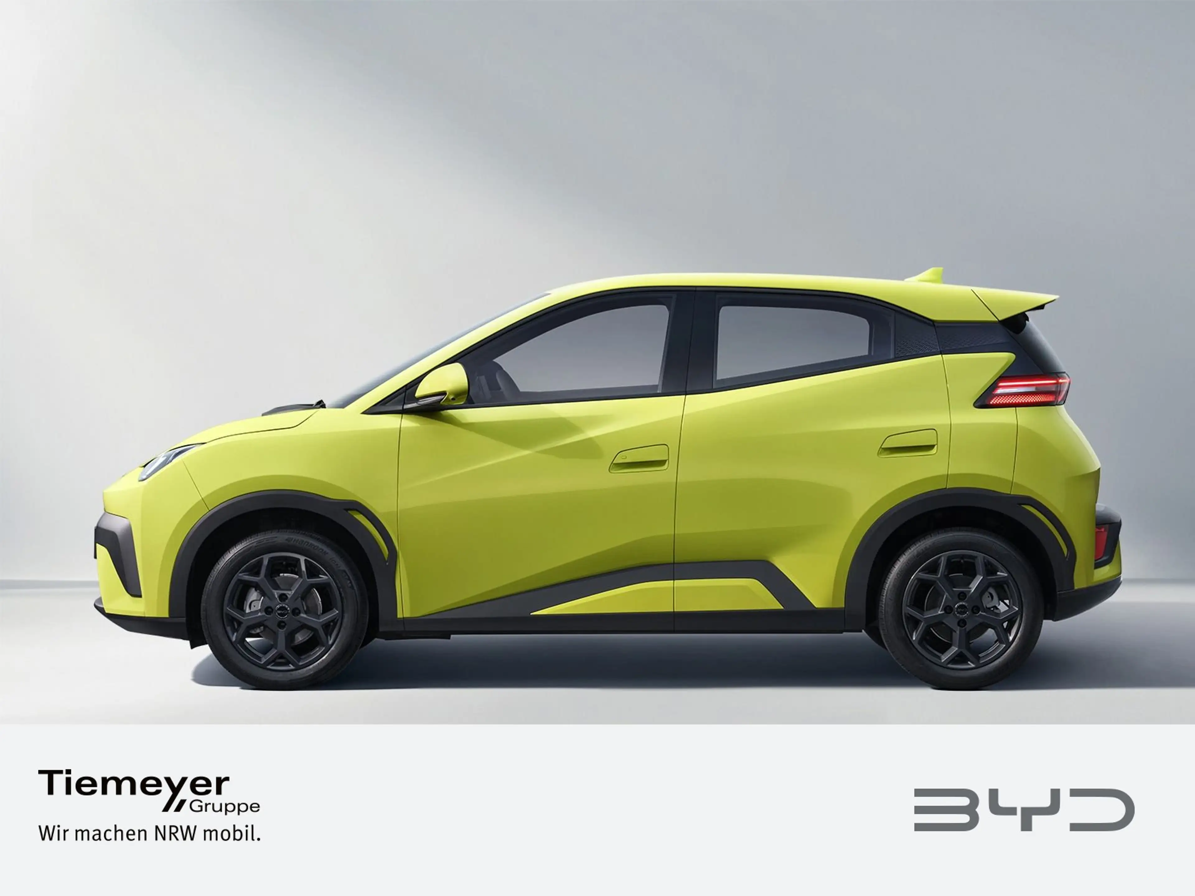 BYD Dolphin Surf Active — photo 2