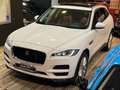 Jaguar F-Pace 2.0 D AWD Portfolio/UNICO PROPRIETARIO Bianco - thumbnail 12