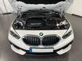 BMW 116 d Lim. Automatik **Navi*AHK*SHZ*PDC** Weiß - thumbnail 18
