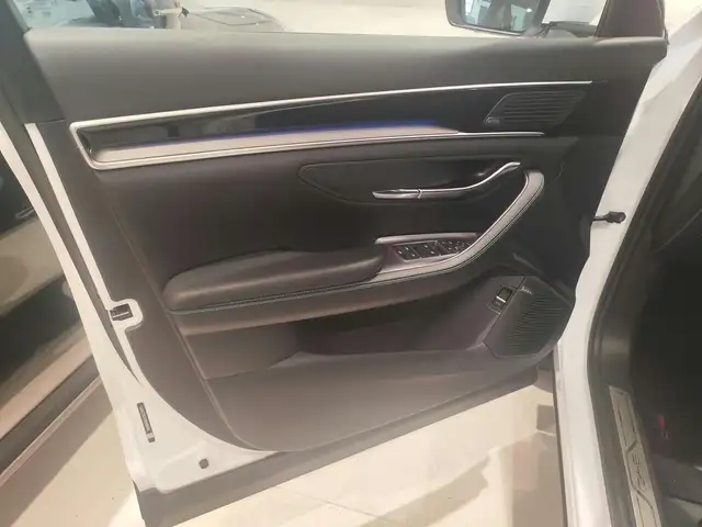 Byd Seal U view 15