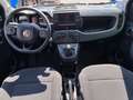 Fiat Panda Panda III Cross 1.0 firefly hybrid Cross s&s 70cv Blu/Azzurro - thumbnail 9