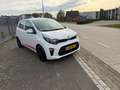 Kia Picanto 1.0 CVVT EconomyPlusLine Blanc - thumbnail 2
