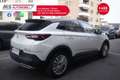 Opel Grandland Opel Grandland X 1.6 diesel Ecotec Start&Stop aut Bianco - thumbnail 13