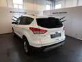Ford Kuga 2.0 TDCI 140 CV 4WD Powershift Titanium Biały - thumbnail 4