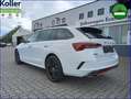 Skoda Octavia Combi RS iV Ergositze eHeckkl. HUD DCC Weiß - thumbnail 7