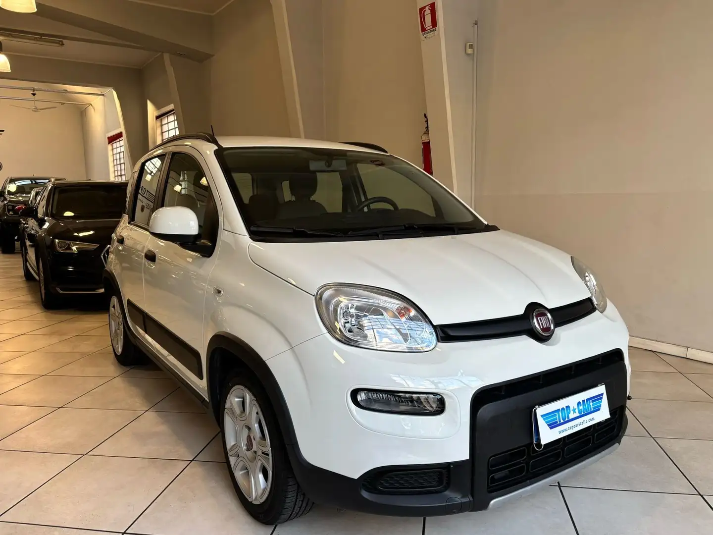 Fiat Panda 1.0 Firefly Hybrid City Life S&S 5p NEOPATENTATI Bianco - 2