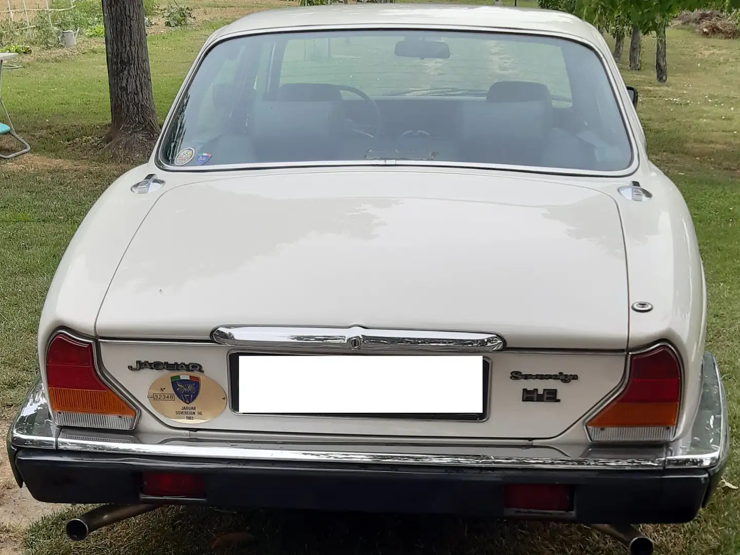 Jaguar Sovereign XJ/Sover/Daim'82-97 Blanc - 1