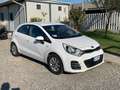 Kia Rio 1.2 CVVT 5p. ECO GPL Cool Wit - thumbnail 3