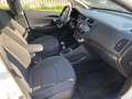Kia Rio 1.2 CVVT 5p. ECO GPL Cool Wit - thumbnail 12