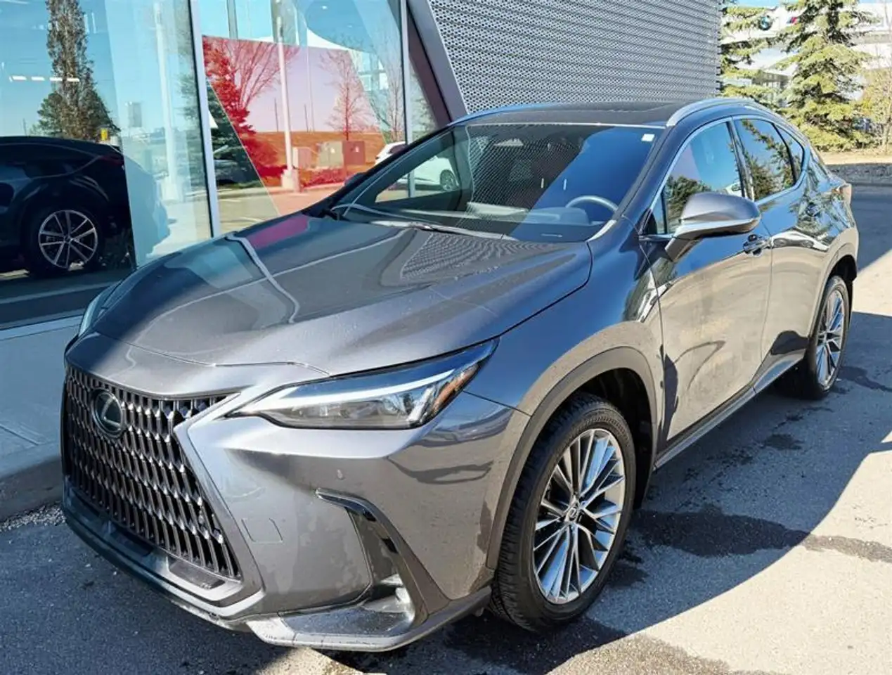 2022 Lexus NX