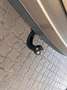 Renault Grand Scenic Scenic III Grand Dynamique 1,2 TCE-Navi-Eur5-Ahk Oro - thumbnail 16