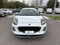 Ford Puma 1.0 Ecoboost Hybrid 125CV Titanium Bianco - thumbnail 6