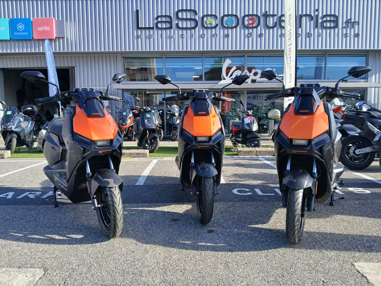 Niu
