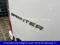 Mercedes-Benz Sprinter III Kasten 311 CDI FWD Klimaautomatik Weiß - thumbnail 12
