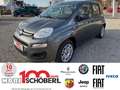 Fiat Panda Easy 1,2 8V Grigio - thumbnail 1