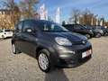 Fiat Panda Easy 1,2 8V Grigio - thumbnail 2
