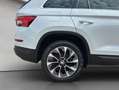 Skoda Kodiaq 2.0 TDI 4x4 DSG Drive 125 AHK Canton RFK Weiß - thumbnail 19