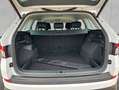 Skoda Kodiaq 2.0 TDI 4x4 DSG Drive 125 AHK Canton RFK Bianco - thumbnail 5