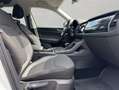 Skoda Kodiaq 2.0 TDI 4x4 DSG Drive 125 AHK Canton RFK Weiß - thumbnail 17