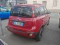 Fiat Panda Panda Cross 1.0 FireFly S&S Hybrid Rosso - thumbnail 5