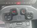 Fiat Panda Panda Cross 1.0 FireFly S&S Hybrid Rosso - thumbnail 16