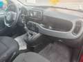 Fiat Panda Panda Cross 1.0 FireFly S&S Hybrid Rosso - thumbnail 6